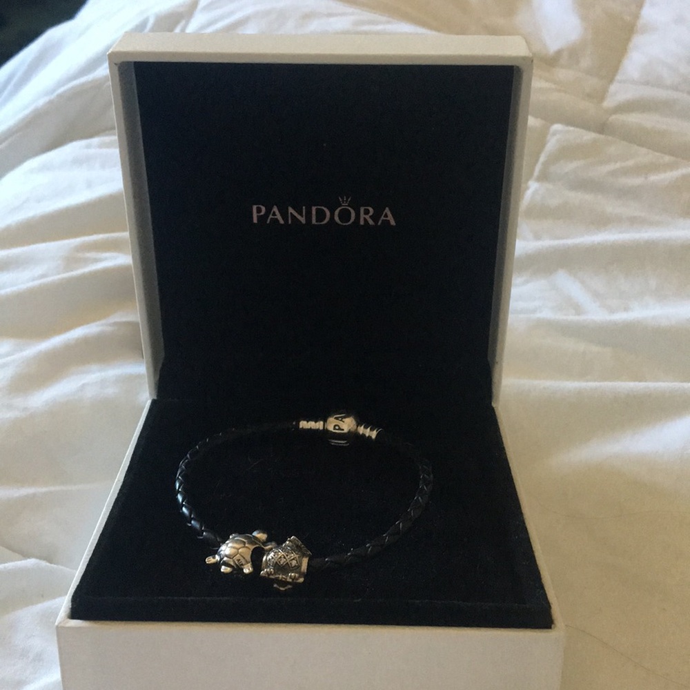 Pandora Bracelet